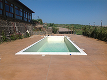  Swimming pool construction